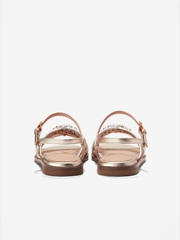 Cole Haan Riemensandale 'JITNEY'‌‌‌ in Gold