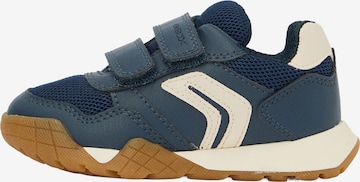 GEOX Tennarit värissä sininen: etupuoli