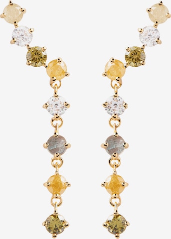 P D PAOLA Earrings in Mixed colors: front