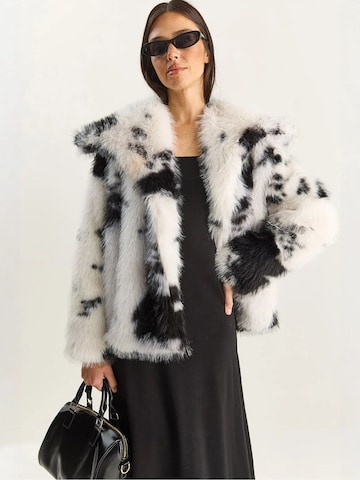 Veste d’hiver 'Jacken' Bianco Lucci en beige : devant