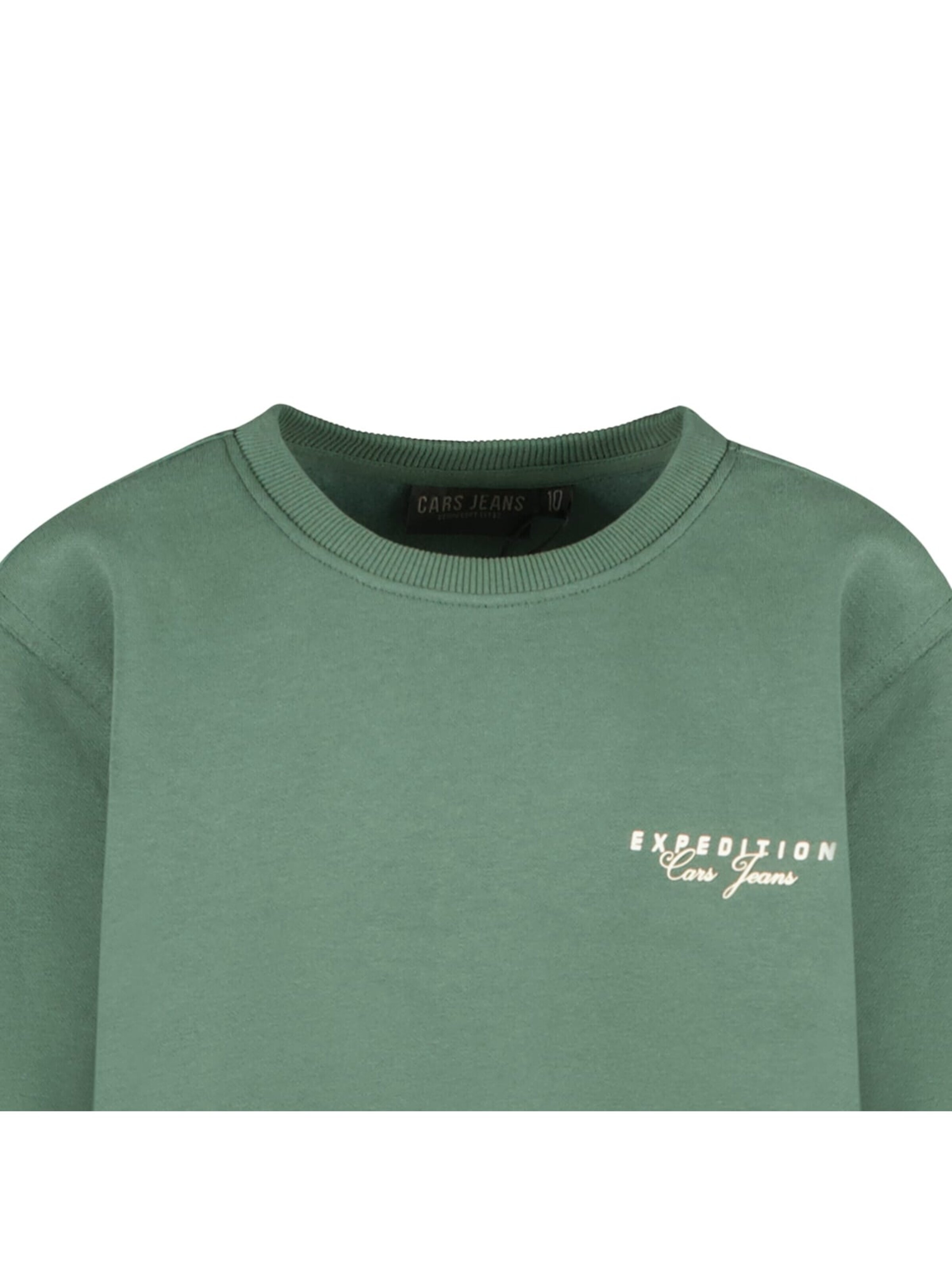 CARS Sweatshirt in Green
