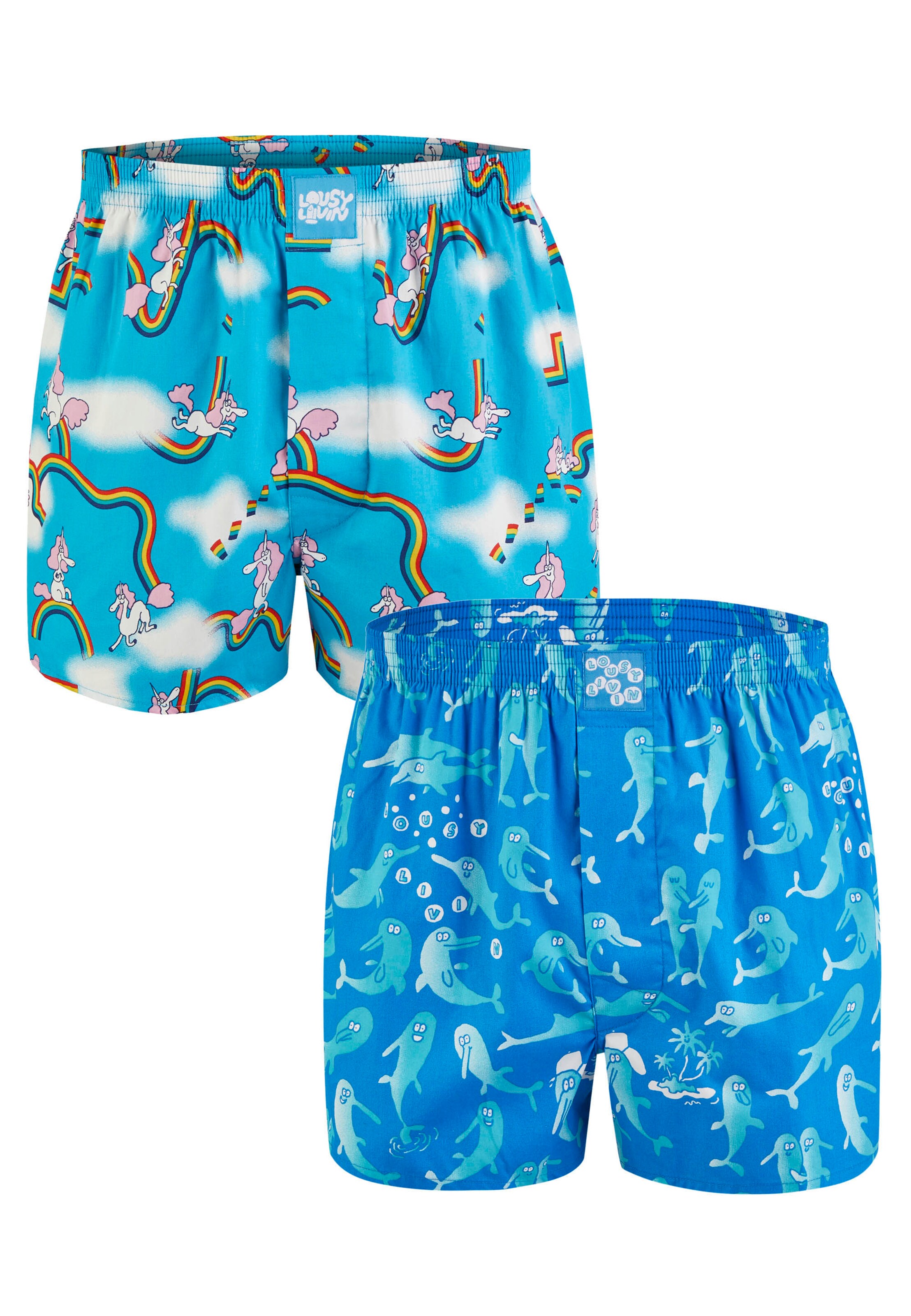 Lousy Livin Boxershorts 'Sky Gym & Dolphin' in Blau: Vorderseite