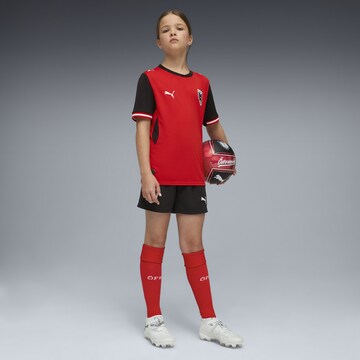 PUMA Regular Sports trousers 'Österreich 2026 ' in Black