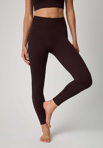 OCEANSAPART Kitsas Spordipüksid 'Maya', värv pruun