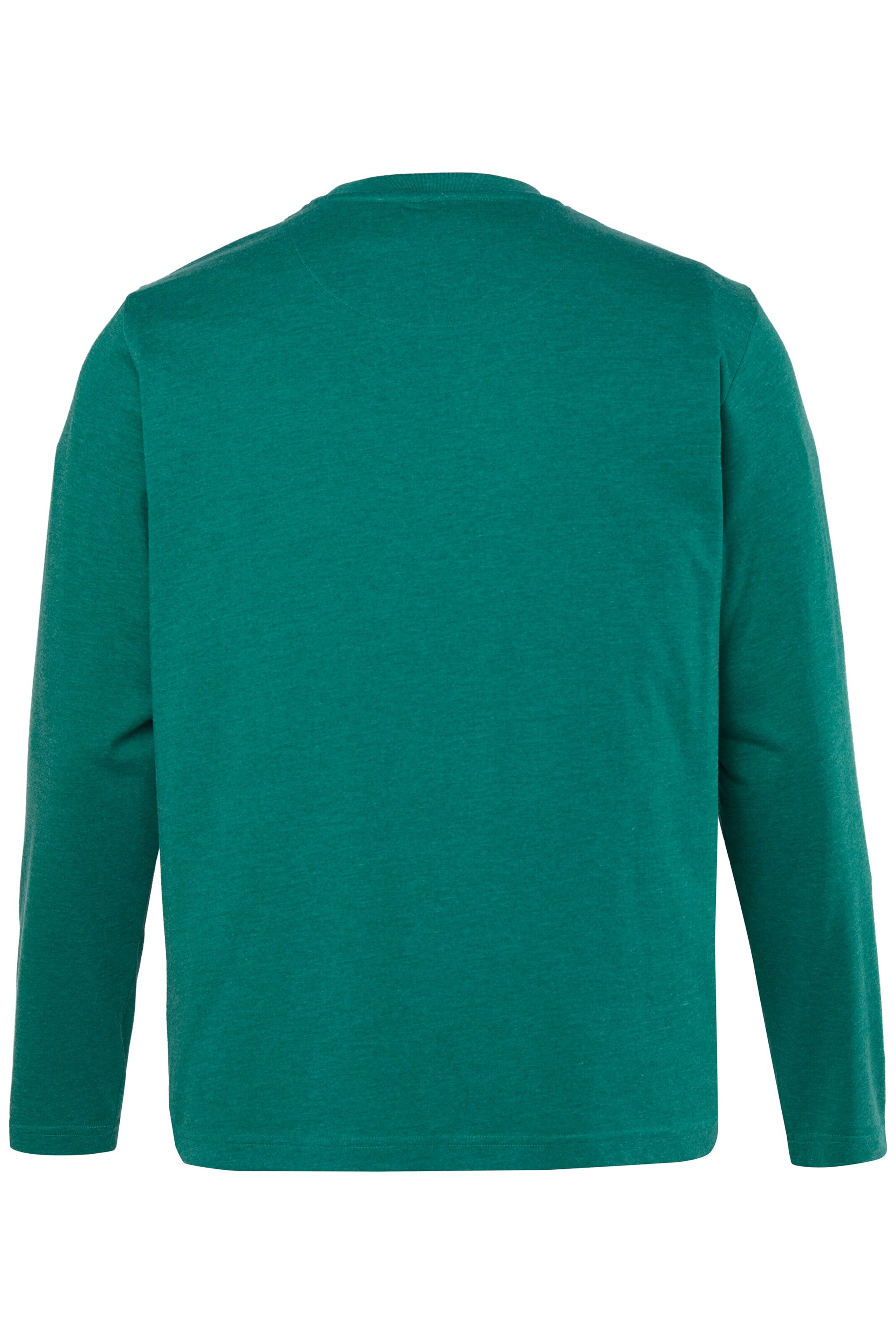 Men Plus Shirt in Green