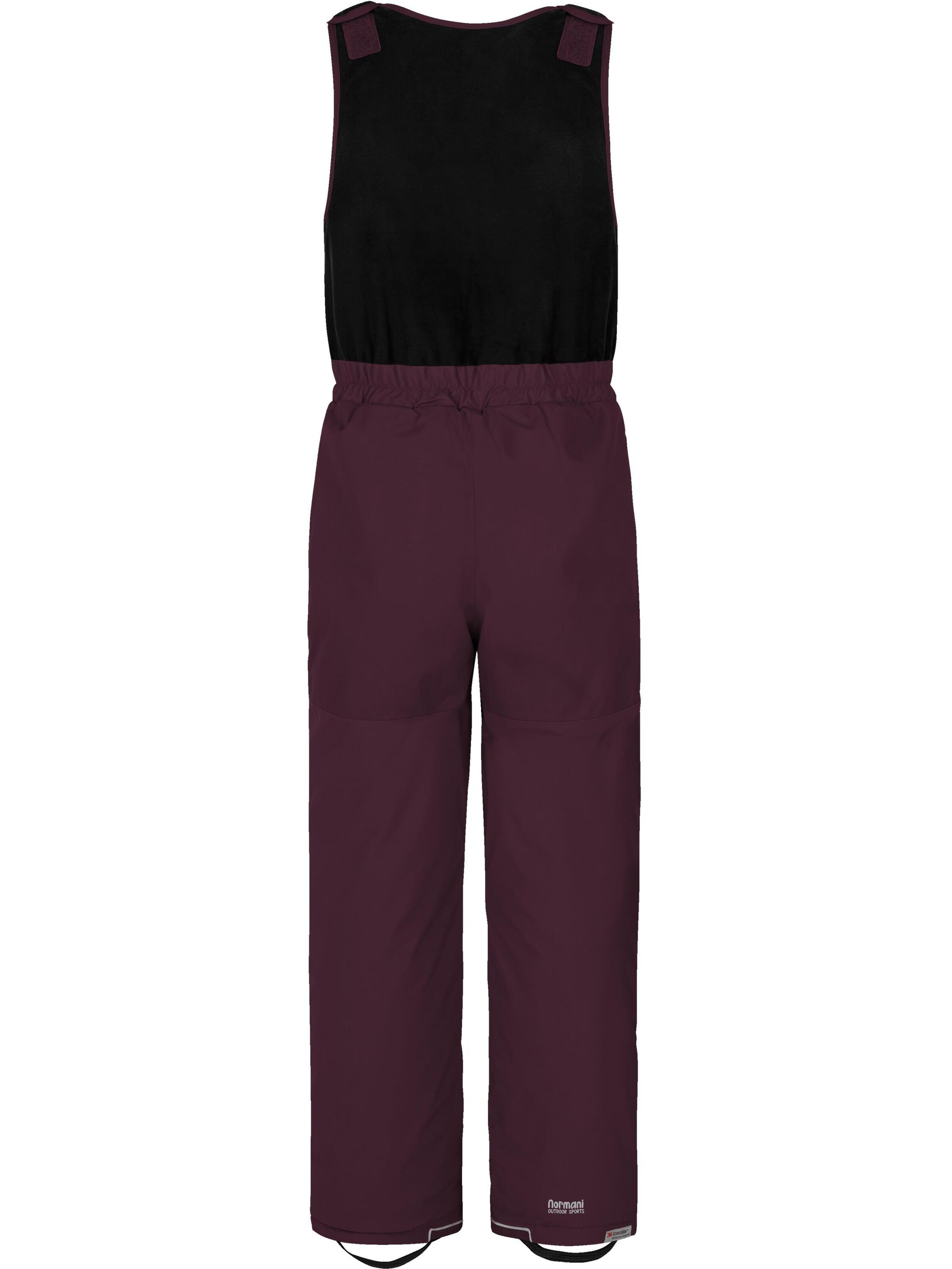 Regular Pantalon d'extérieur 'Carmacks' normani en violet