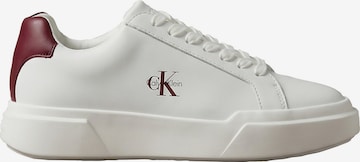 Calvin Klein Sneakers in White: front