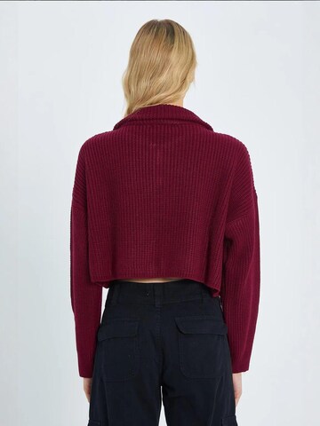 Pullover 'Pullover' di MixRay in rosso