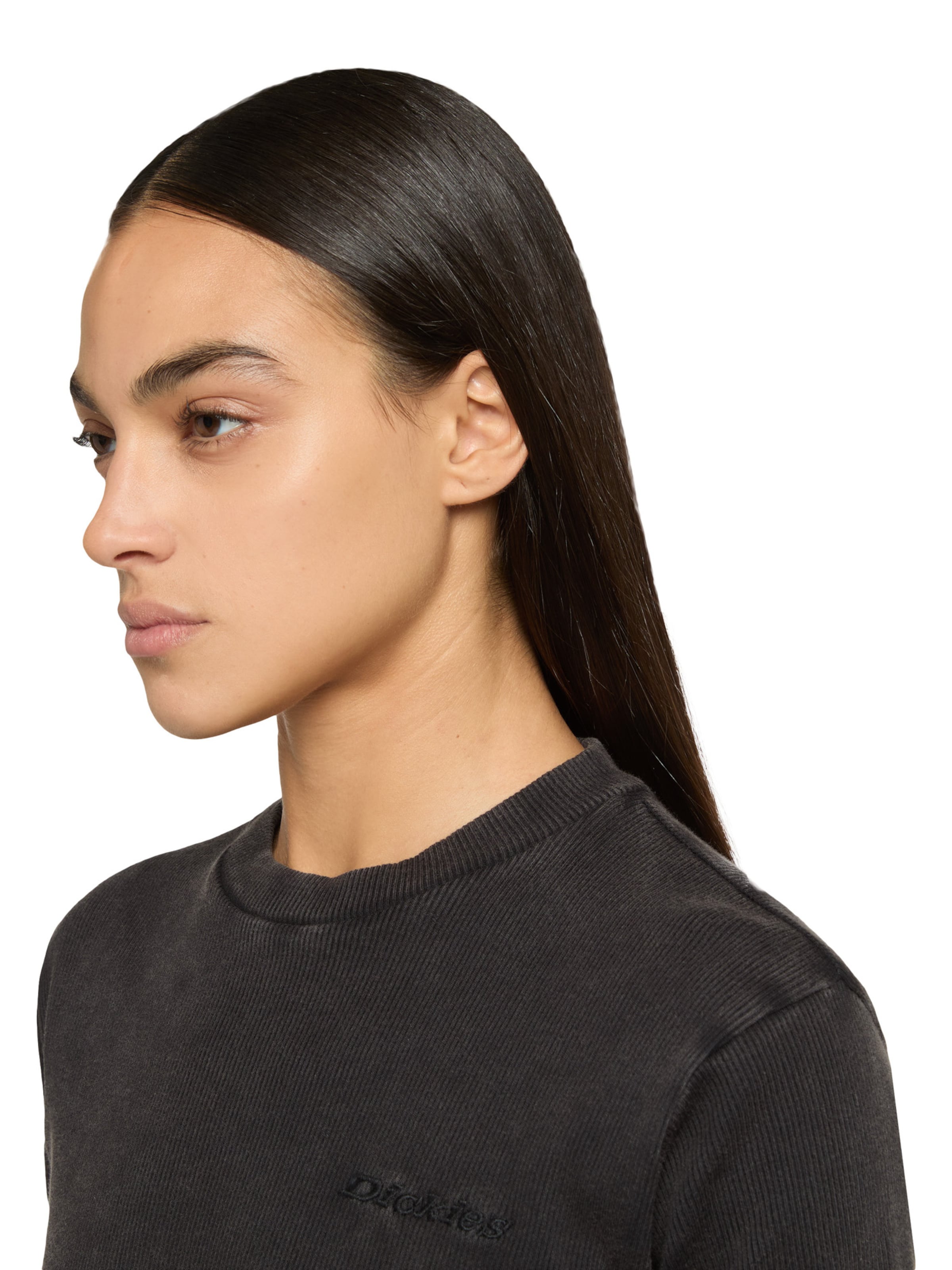 DICKIES T-Shirt 'Plentywood' in Schwarz