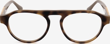 Occhiali 'WE5433' di Web Eyewear in marrone: frontale