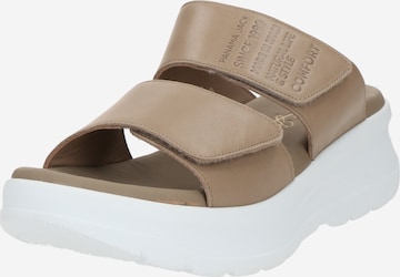 PANAMA JACKNatikače s potpeticom 'Nila B4' - siva boja: prednji dio