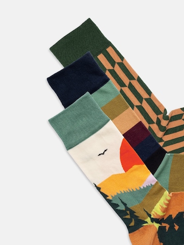Chaussettes 'Falling for Nature' DillySocks en mélange de couleurs