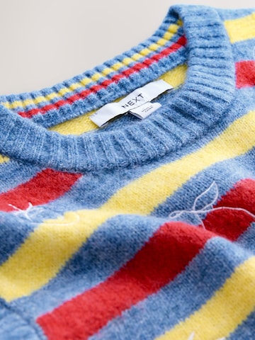 zils Next Džemperis