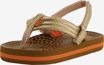 REEF Sandals 'Little Ahi' in Gold: front