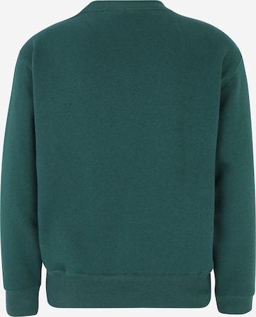 Gap PetiteSweater majica 'HERITAGE' - zelena boja