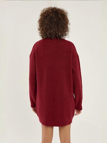 Hiccup Strickkleid 'Strickkleider'‌‌‌‌ in Rot