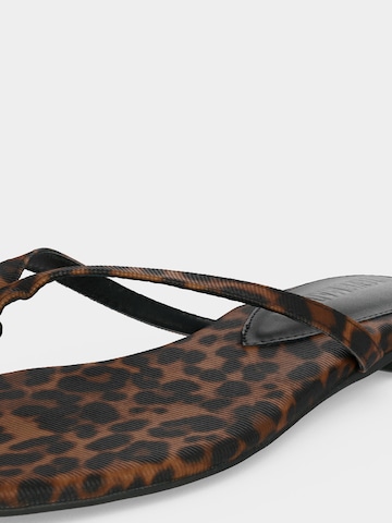 Tongs 'Maliyah' STEVE MADDEN en marron