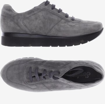 SEMLER Sneakers & Trainers in 38 in Grey: front