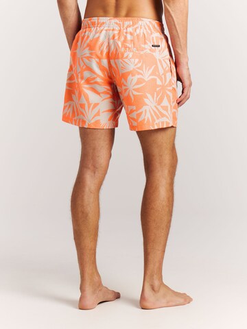 PROTEST Board Shorts 'PRTPanther' in Purple