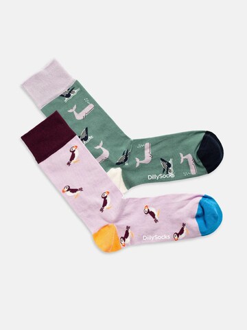Chaussettes 'Water Enthusiasts' DillySocks en vert