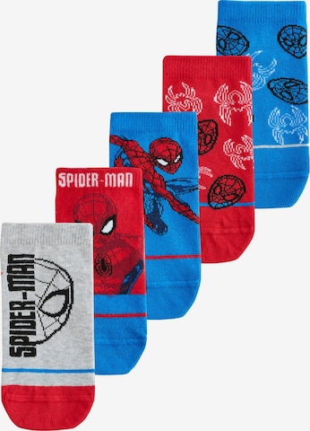 Chaussettes Next en mélange de couleurs : devant