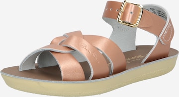 Sandalo di Salt-Water Sandals in rosa: frontale