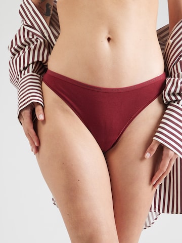 Tommy Hilfiger Underwear Thong in Red: front