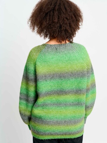 Aprico Sweater 'Bastrop' in Green