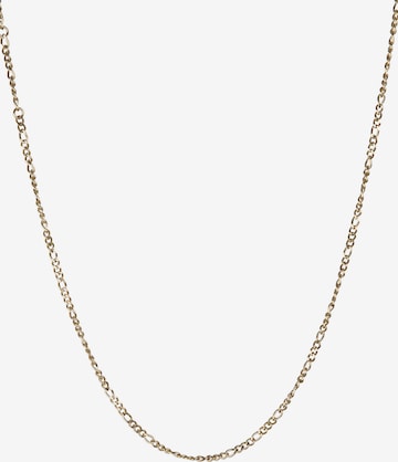 Kapten & Son Halsband 'Necklace Delicate Gold' i guld: framsida