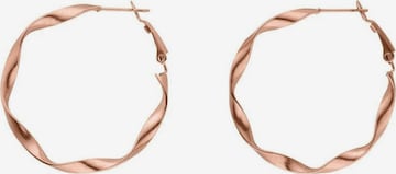 PURELEI Earrings 'Ke Kai ' in Gold: front