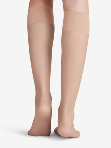 FALKE Overknee Strümpfe 'Pure Matt' in Beige