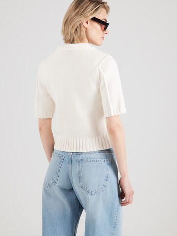 Pull-over & Other Stories en blanc