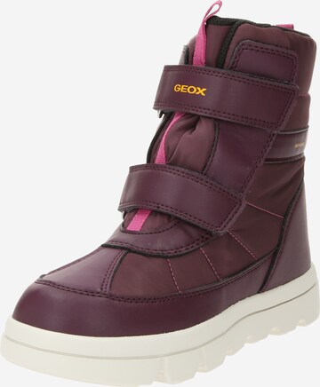 Bottes GEOX en violet : devant