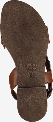 Sandalo con cinturino di IGI&CO in marrone: frontale