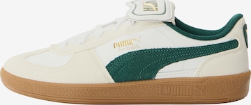 PUMA Σνίκερ 'Palermo' σε λευκό: μπροστά