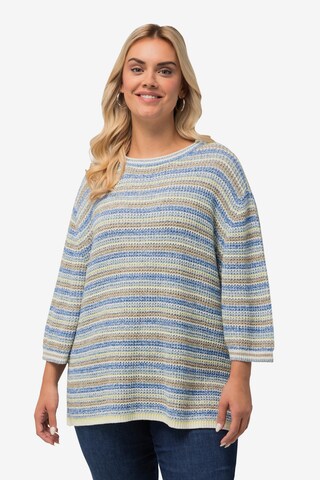 Ulla Popken Pullover in Mischfarben: predná strana