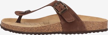 GEOX T-Bar Sandals in Brown: front