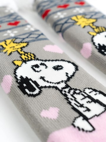 Snoopy & Die Peanuts Socks in Grey