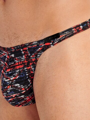 Slip ' British Malcolm ' HOM en mélange de couleurs