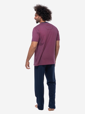 Ammann Pyjama kurz 'Night & Home Cotton' in Mischfarben