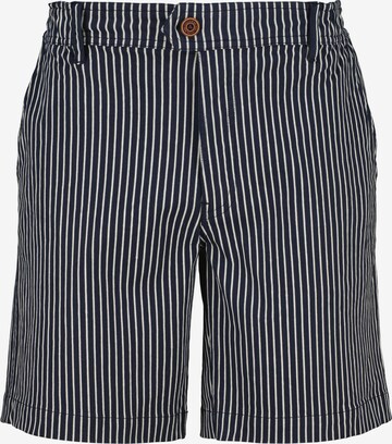 Alife and Kickin - Calças chino 'MarcoAK' em azul: frente