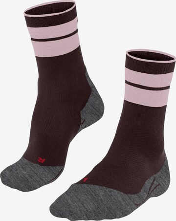 FALKE Sportsocken 'TK Compression Stabilizing' in Rot: Vorderseite