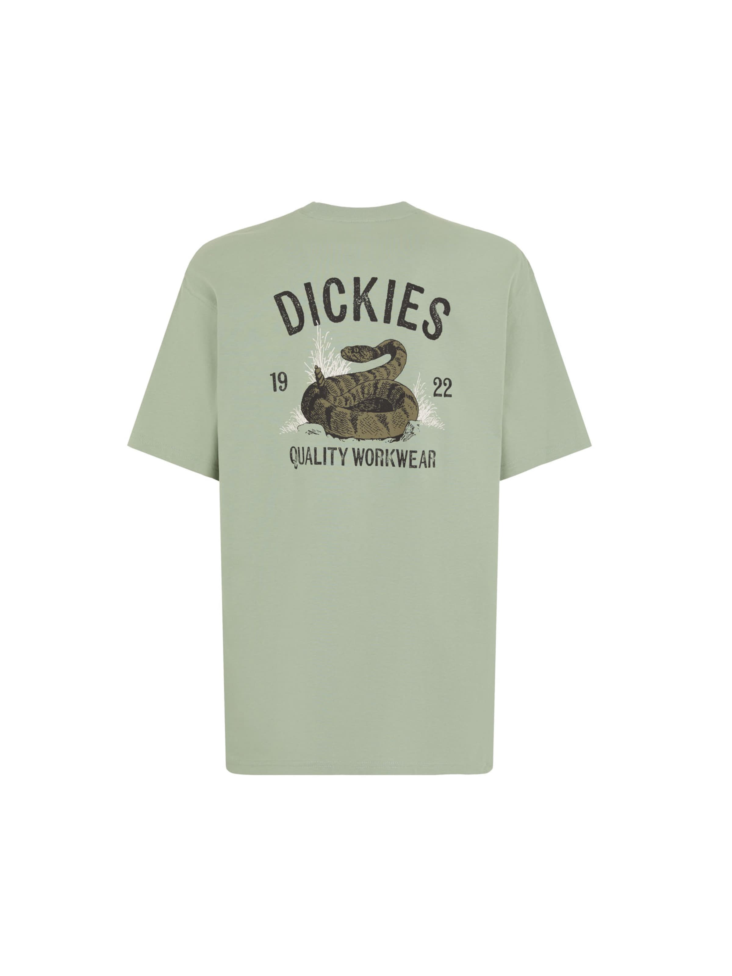 DICKIES Koszulka 'Snake' w kolorze zielony