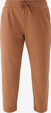 TRIANGLE Regular Pants in Brown: front