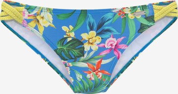 VENICE BEACH Bikini Bottoms in Blue: front