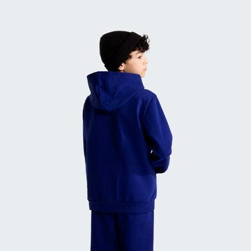 THE NORTH FACE Athletic Sweatshirt in Blue