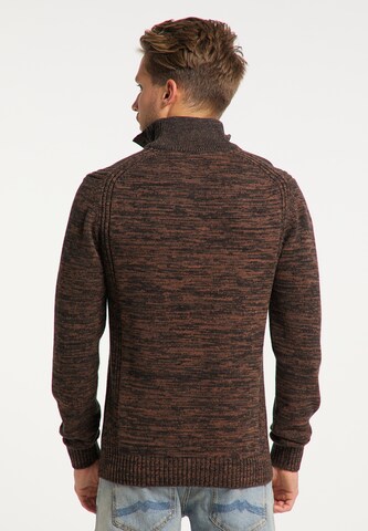 Petrol Industries Shirt in Brown