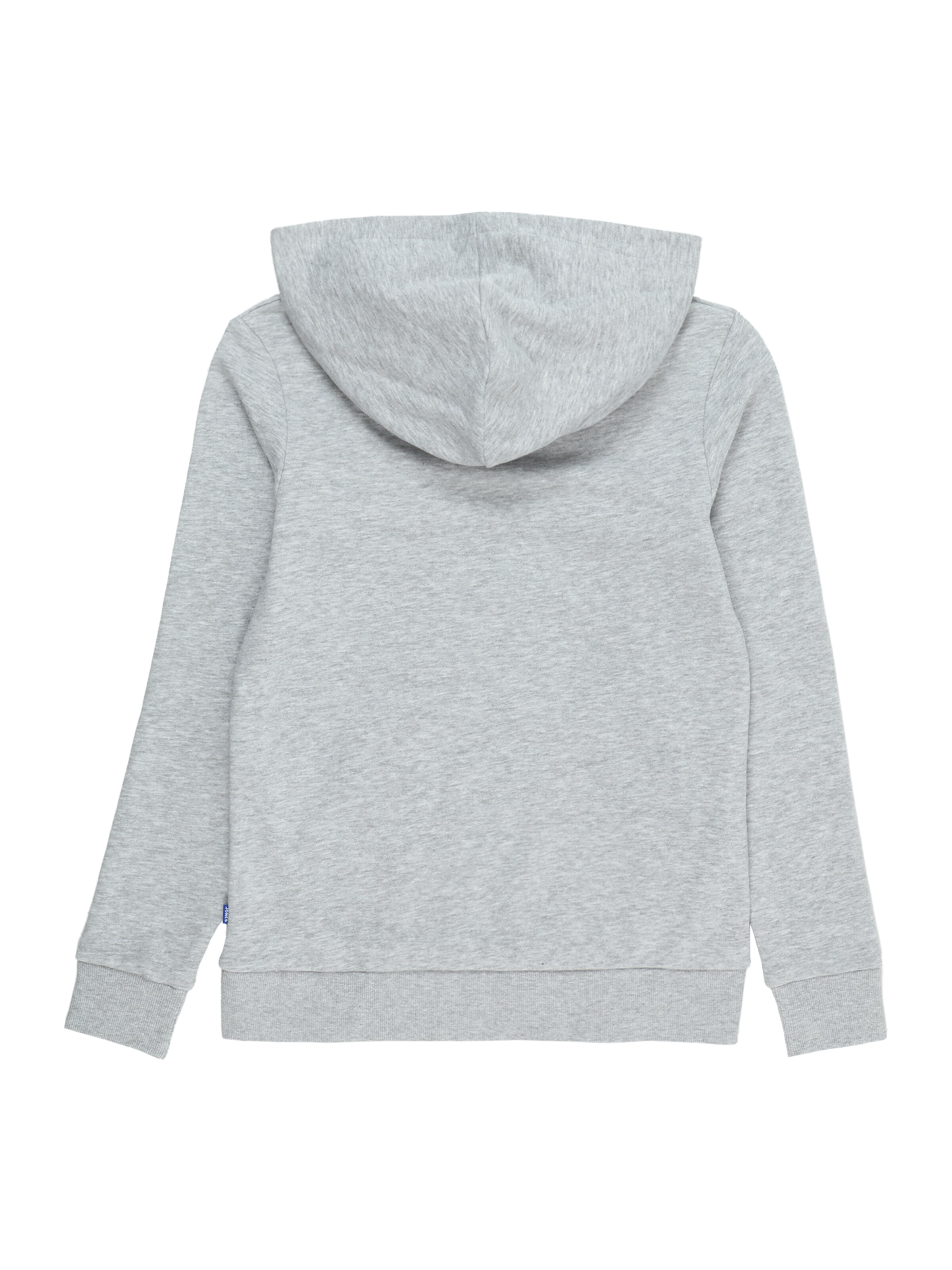 Jack & Jones Junior Sweatshirt 'JJEBradley' i grå