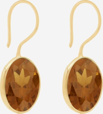 Gemshine Earrings in Gold