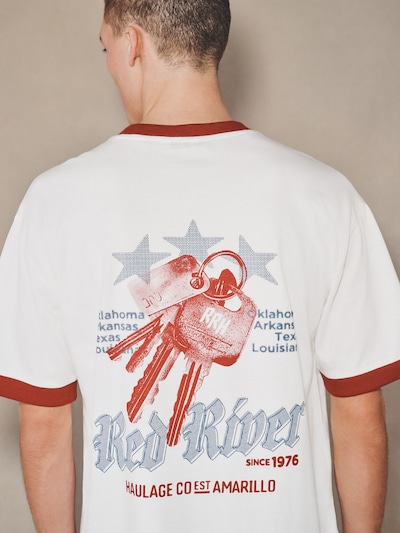 Next Футболка в Сизо-голубой / Красный / Белый, Обзор товара